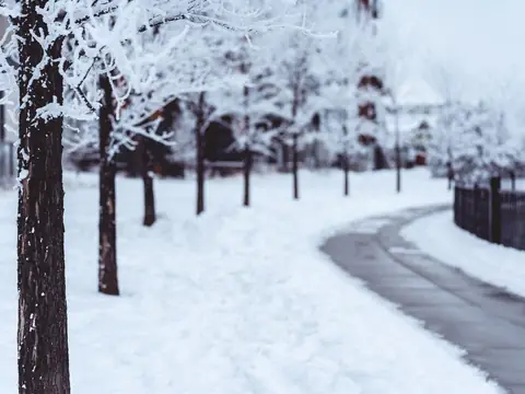 A cleared walkway curving between snow-covered trees and lawns