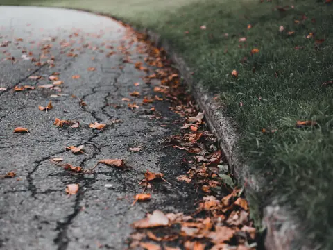 Cracked pavement beside a curb strewn with leaves