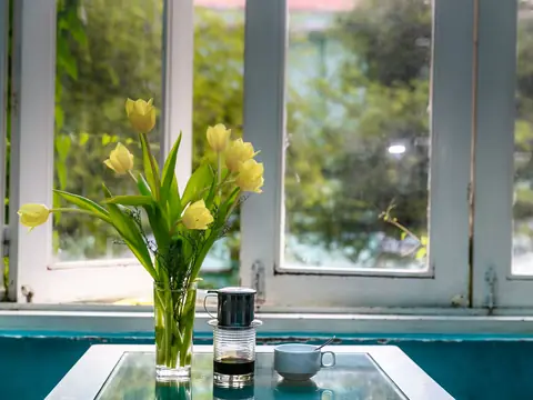 Yellow tulips in a glass vase by a sunny window